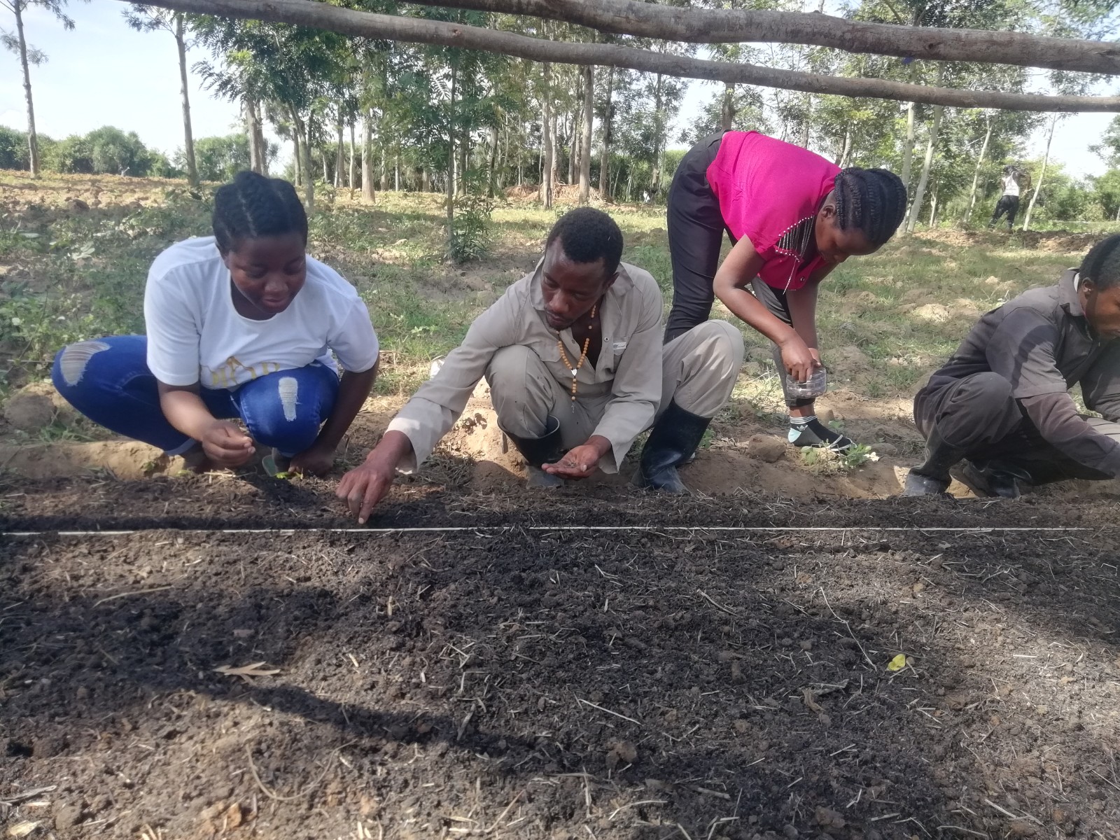 Agriculture